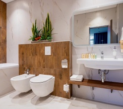 2-комнатный номер люкс с 1 двуспальной кроватью в GreenGate Hotel&SPA