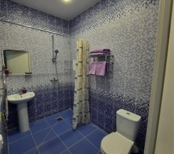 Двухместный улучшенный TWIN в Марциальные воды