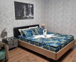 Комфорт в Оазис сити