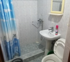 Трехместный стандартный номер в Виолетта