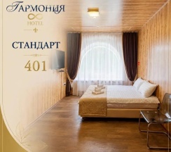 Стандарт № 401 в Гармония