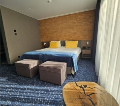 Стандарт премиум + в Ольга