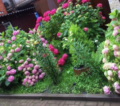 Трехместный в Хурма и Мимоза