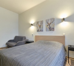 Стандарт + в Эдельвейс