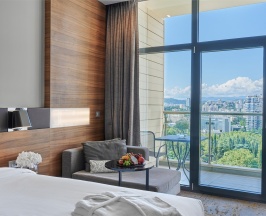 Номер Executive, с видом на город - с двуспальной кроватью в Pullman Sochi Centre