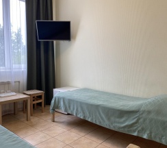 2-местный номер стандарт в Евро