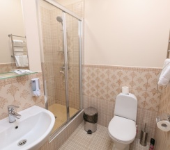 Стандартный номер с 1 или 2 отдельными кроватями в Аврора