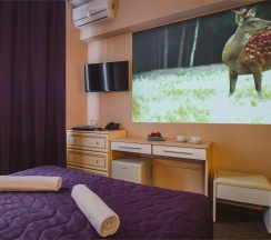 Стандартный двухместный с проекционным  кинотеатром в Ring Road Hotel