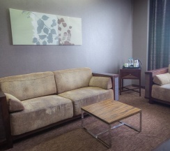 Представительский люкс в Elements Perm Hotel 4