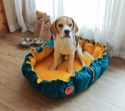 Стандартный номер с ПАНОРАМНЫМ ВИДОМ И БОЛЬШИМ БАЛКОНОМ в Дом у моря