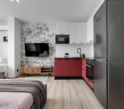 1-комнатные апартаменты студия Рэд в Dream Apartmens