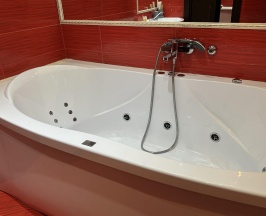 Номер люкс (без окна) в Элит