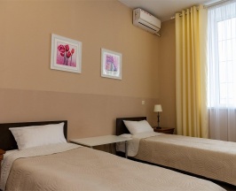 Номер стандарт с 2 односпальными кроватями в Лидия