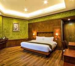 Одноместный номер Deluxe односпальная кровать в Naiyang Park Resort