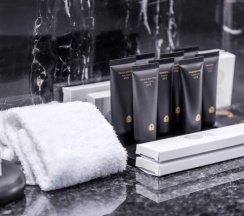 Премиум Делюкс с одной двуспальной кроватью в Soluxe Hotel Moscow