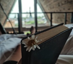 AFrame дом 2 в Chilla_villa_black