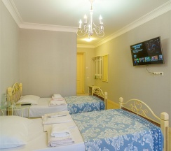 Делюкс с двумя односпальными кроватями в Энергетик