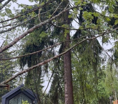 Коттедж стандарт в Timeless