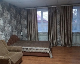 Одноместный люкс № 1 в Метелица