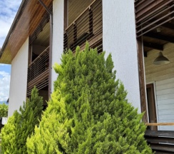 Четырёхместный семейный номер Standard с балконом в Розмарин