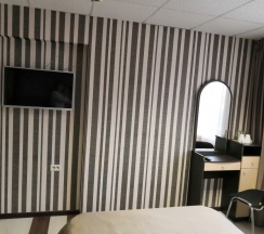 Двухместный номер Standard с видом на город двуспальная кровать в Ассоль