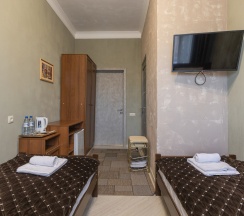 Двухместный номер с 2 односпальными кроватями в на Пушкина