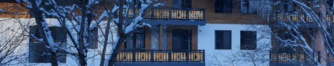 Апартаменты c 1 комнатой в bakuriani didveli residence f 42