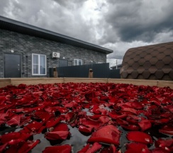 Домик №6 в Sh Premium Home