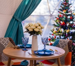 Купол «Петроглифы» в Aldi-Karelia