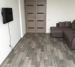 Апартаменты Standard в Davidenko`s apartment