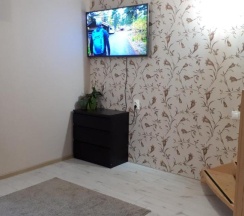 Гостевой дом Сосновый бор в Сосновый бор и Wood house
