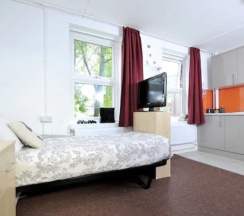 Одноместный номер Standard в Wood Green Hall - Campus Accommodation