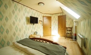 Стандартный двухместный номер с 1 кроватью Мансарда Green в Night train motel