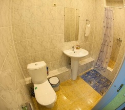 Номер стандарт с 1 двуспальной кроватью в Султан