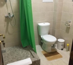 Стандартный четырехместный номер в Green