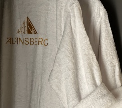 Дом в Alansberg