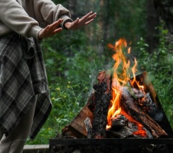 Купол в Royal Forest