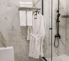 Делюкс двухместный в Пушкин