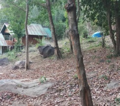 Двухместный семейный номер Standard (двуспальная кровать) в Phi Phi Jungle Hill Bungalow