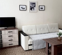 Стандарт в Олимп