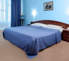 Люкс в Александровский сад