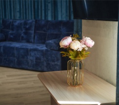 Джуниор Сюит 36кв.м. в Колизей