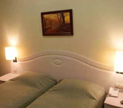 2-местный номер стандарт в Forest Inn