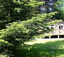 Шале Classic с 2 комнатами в Scenic Chalet in Vieuxville With Terrace