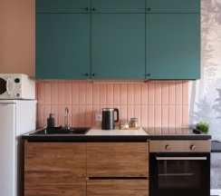 1-комнатные апартаменты студия Форест в Rasko Home