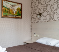 Стандарт с 1 кроватью в Дана