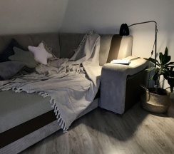 Апартаменты улучшенные Почтовый переулок, 2 (мансарда) в Кусто