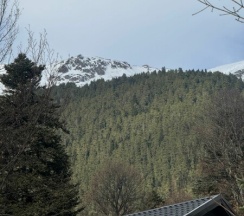 Стандарт в Potap