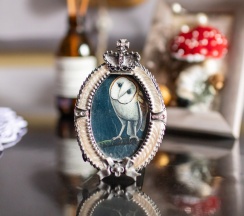 Двухкомнатный джуниор сюит в Грандъ сова