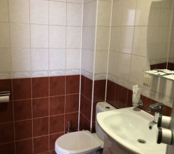 Двухместный номер Standard двуспальная кровать в Жемчужина